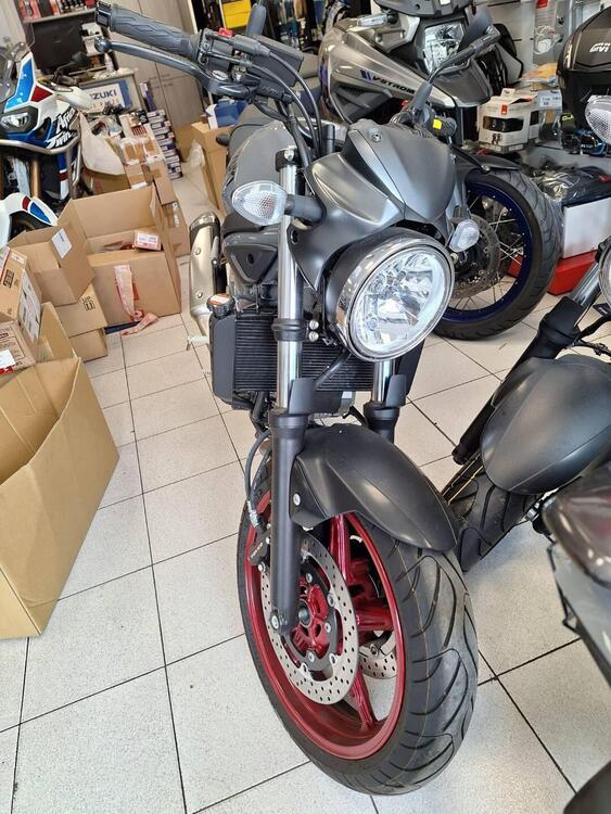 Suzuki SV650 (2021 - 24)