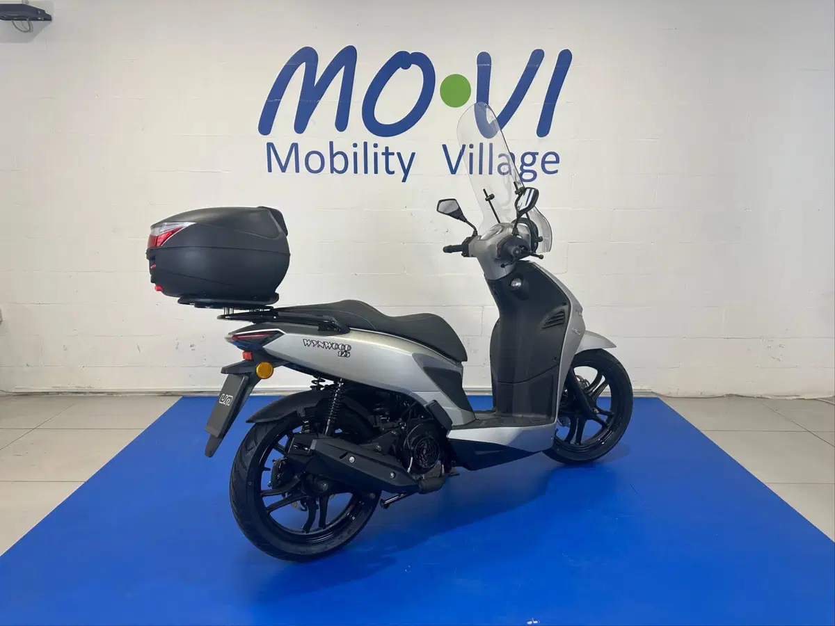 Um Italia Wynwood 125 (2025 - 26) (2)