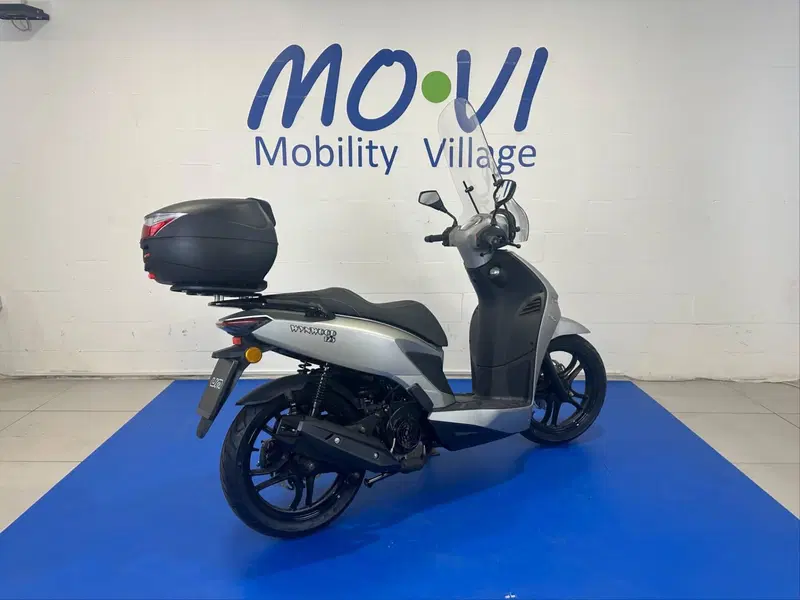 Um Italia Wynwood 125 (2025 - 26) (2)