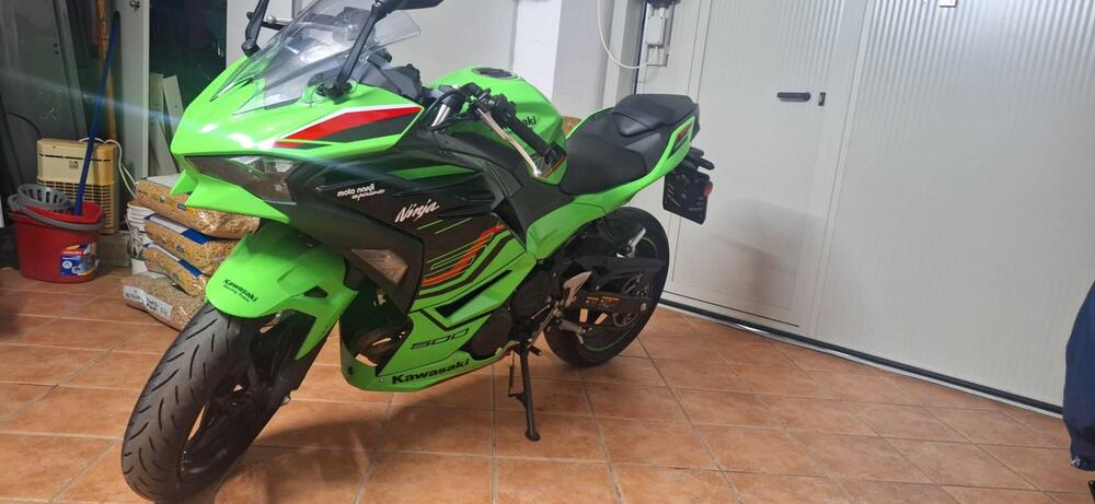 Kawasaki Ninja 500 SE (2024 - 25)