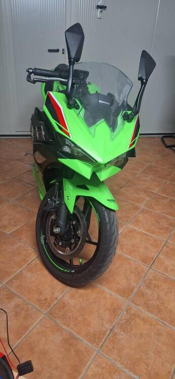 Kawasaki Ninja 500 SE (2024 - 25) (2)