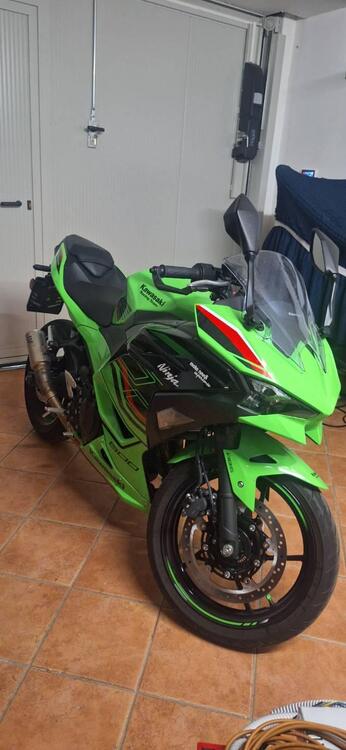 Kawasaki Ninja 500 SE (2024 - 25) (3)