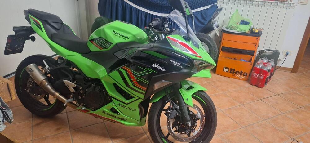 Kawasaki Ninja 500 SE (2024 - 25) (4)