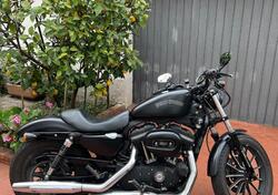 Harley-Davidson 883 Iron (2012 - 14) - XL 883N usata