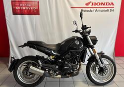 Benelli Leoncino 500 Trail (2021 - 25) usata