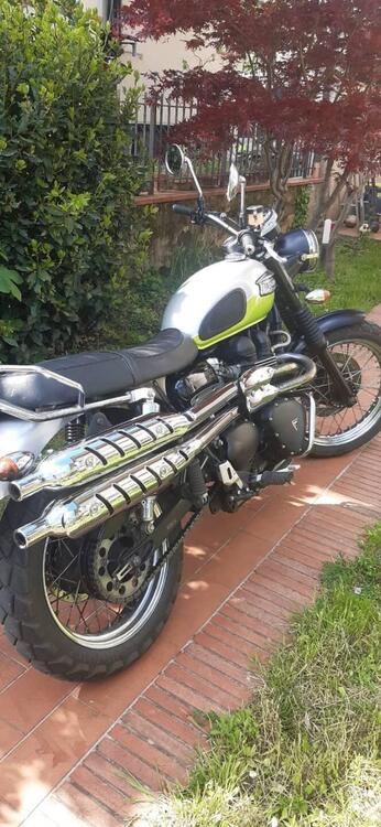Triumph Scrambler (2006 - 17) (3)