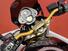 Kawasaki ER-6N (2005 - 08) (8)