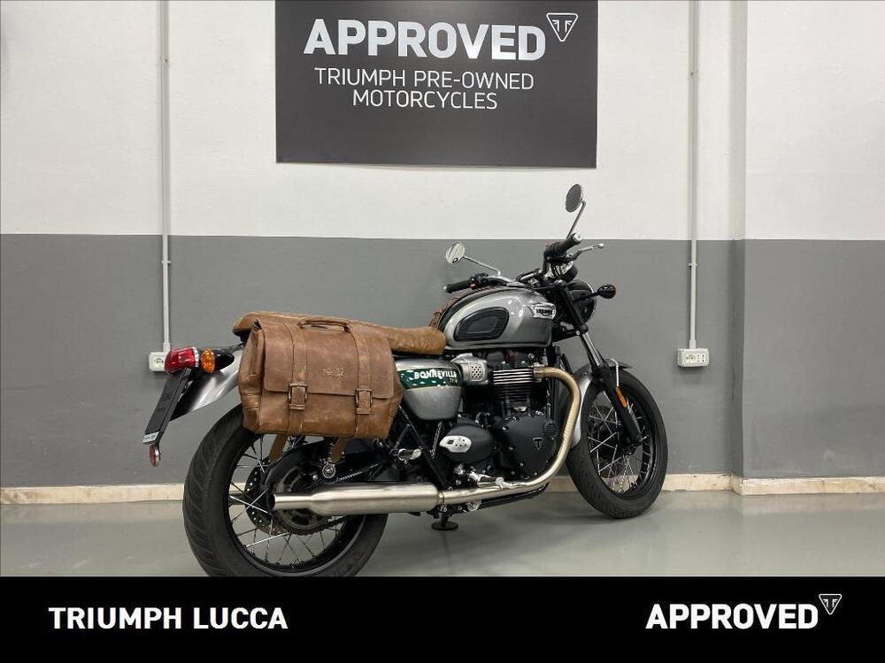 Triumph Bonneville T100 Gold Line Edition (2022) (3)