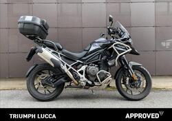 Triumph Tiger 1200 GT Pro (2022 - 23) usata