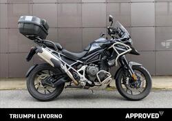 Triumph Tiger 1200 GT Pro (2022 - 23) usata