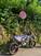 Tm Moto SMR 125 (2018) (6)