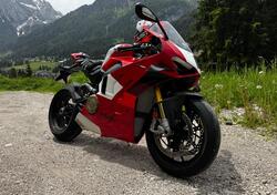 Ducati Panigale V4 R (2023 - 24) usata