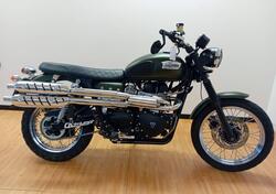 Triumph Scrambler (2006 - 17) usata