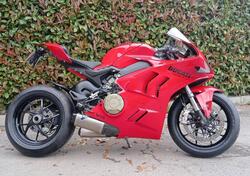 Ducati Panigale V4 (2022 - 24) usata