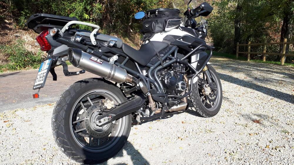 Triumph Tiger 800 ABS (2010 - 14) (3)