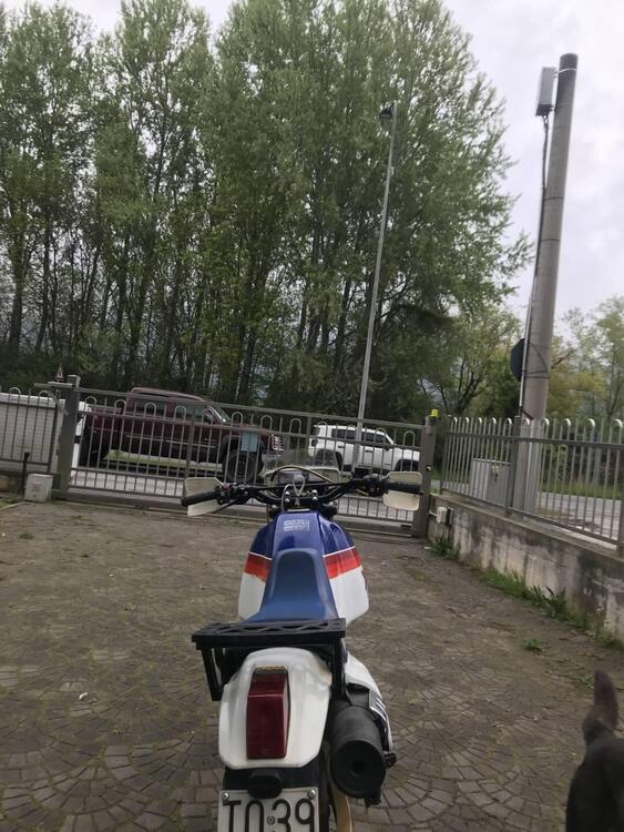 Honda xl pd (2)