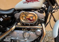 Harley-Davidson 883 Custom (2001 - 05) - XL 53C usata