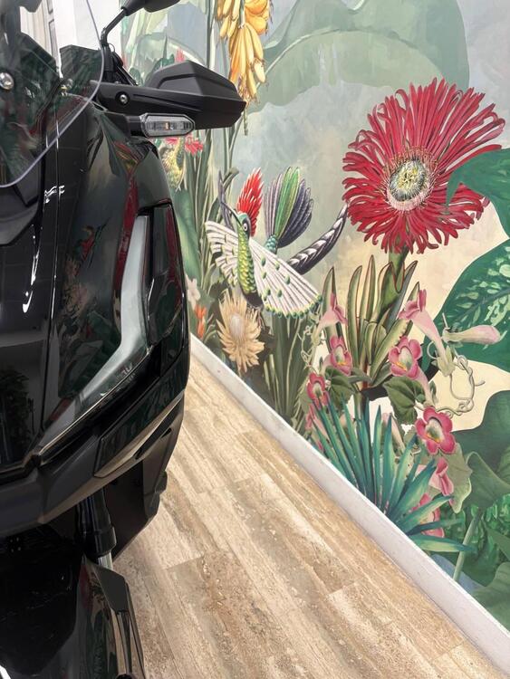 Honda ADV 350 (2025) (5)