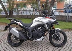 Morbidelli T1002VX (2024 - 25) nuova