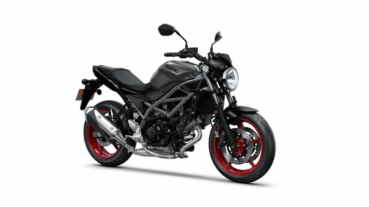 Suzuki SV650 SV650 (2025 - 26) (9)