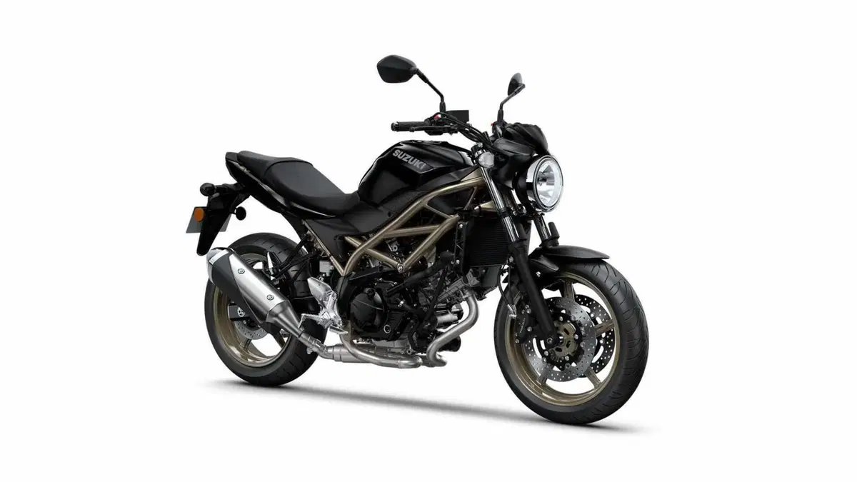 Suzuki SV650 SV650 (2025 - 26) (10)