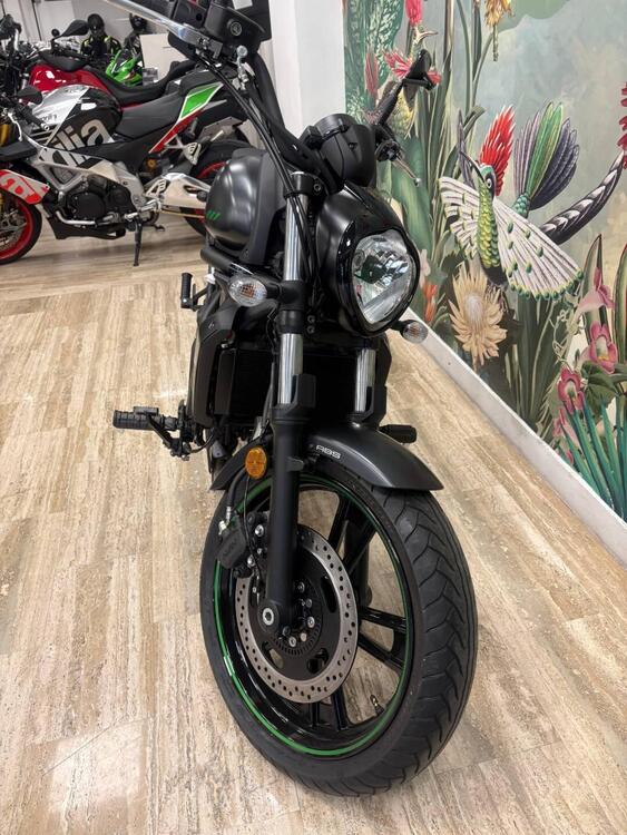 Kawasaki Vulcan S (2025) (3)