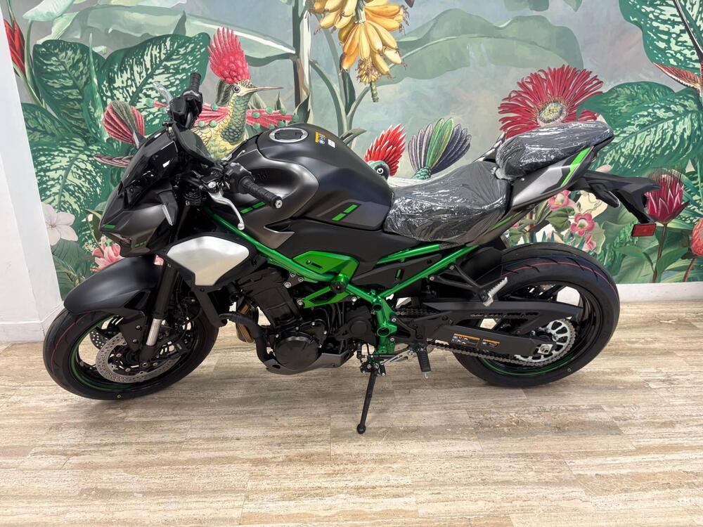 Kawasaki Z 900 (2025) (2)