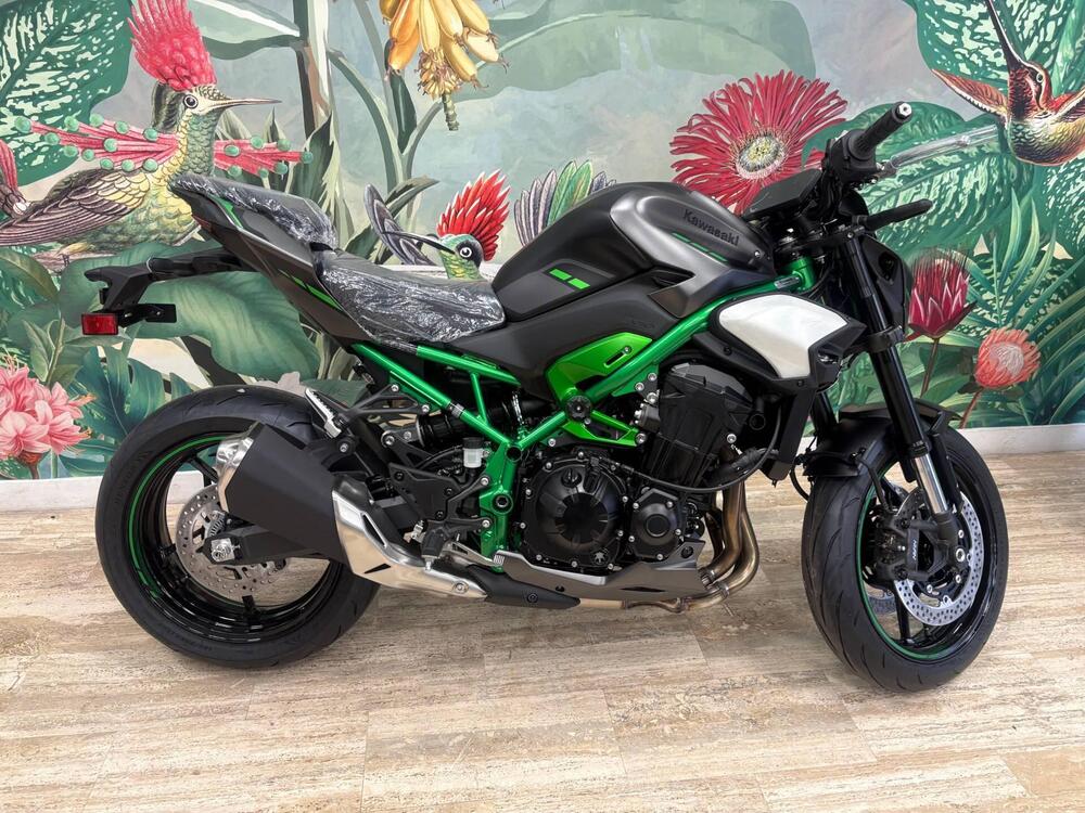 Kawasaki Z 900 (2025)