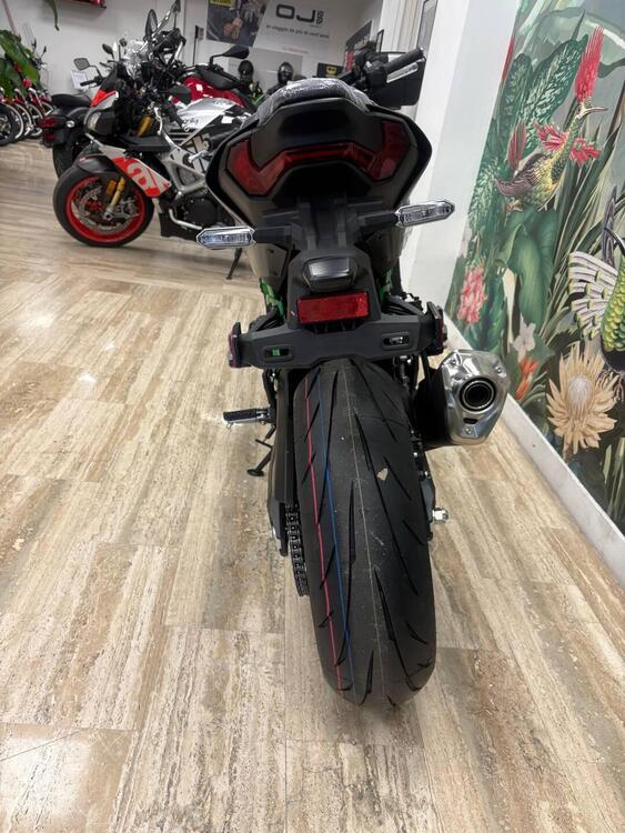 Kawasaki Z 900 (2025) (3)