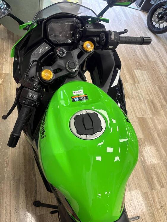 Kawasaki Ninja ZX-4R (2024 - 26) (5)