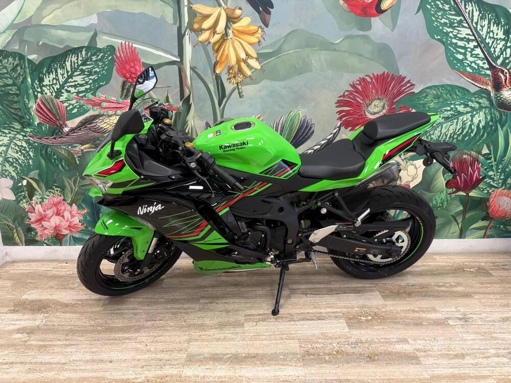 Kawasaki Ninja ZX-4R (2024 - 26) (2)