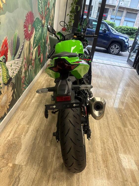 Kawasaki Ninja ZX-4R (2024 - 26) (3)