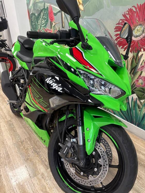 Kawasaki Ninja ZX-4R (2024 - 26) (4)