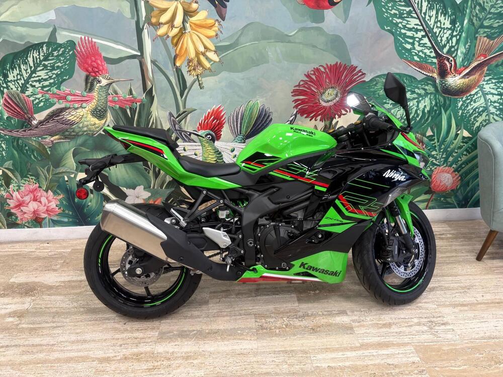 Kawasaki Ninja ZX-4R (2024 - 26)