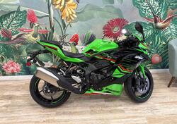 Kawasaki Ninja ZX-4R (2024 - 25) nuova