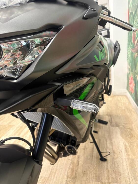 Kawasaki Versys 650 (2025 - 26) (5)