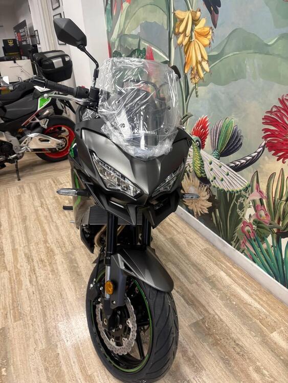 Kawasaki Versys 650 (2025 - 26) (2)