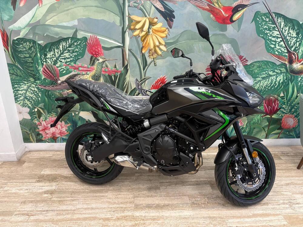 Kawasaki Versys 650 (2025 - 26)