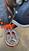 KTM 300 EXC E Six Days (2015) (8)