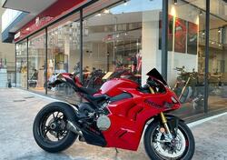 Ducati Panigale V4 S (2022 - 24) usata