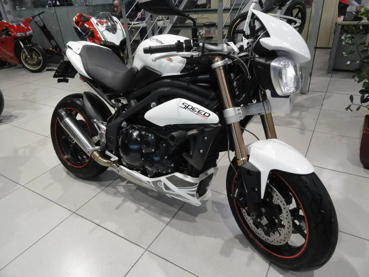 Triumph Speed Triple 1050 (2011 - 13) (2)