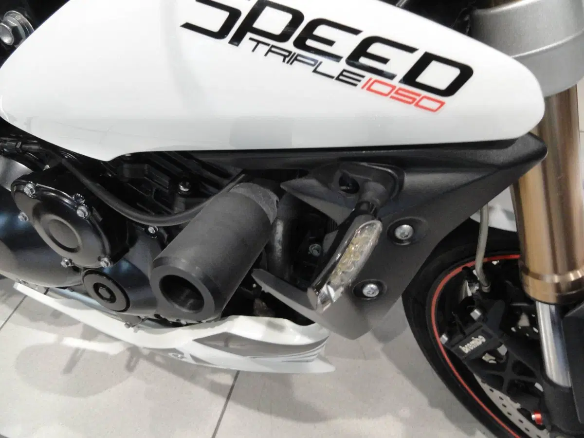 Triumph Speed Triple 1050 (2011 - 13) (4)