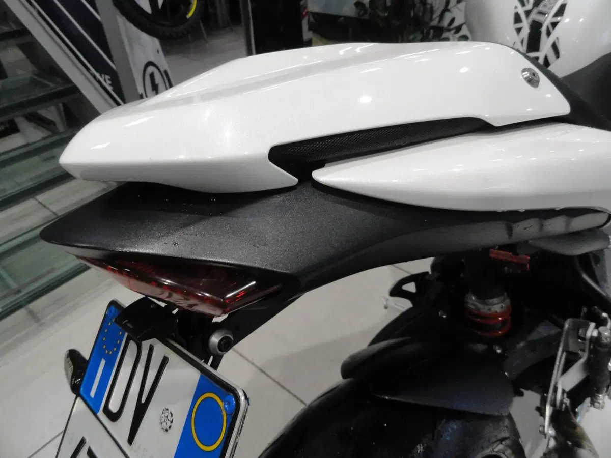 Triumph Speed Triple 1050 (2011 - 13) (8)