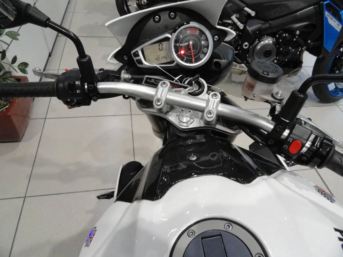 Triumph Speed Triple 1050 (2011 - 13) (12)