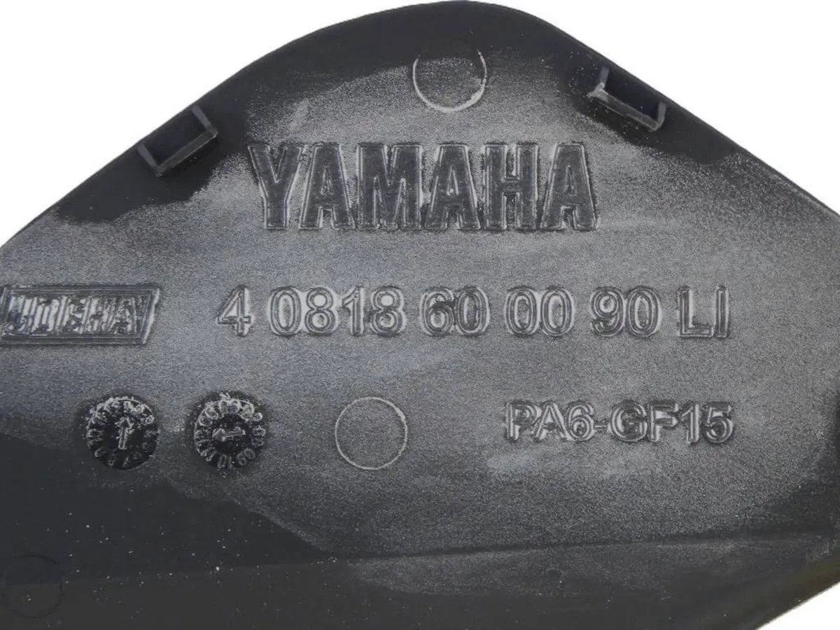 Abbellimenti motore/cambio dx e sx Yamaha FJR1300 (6)