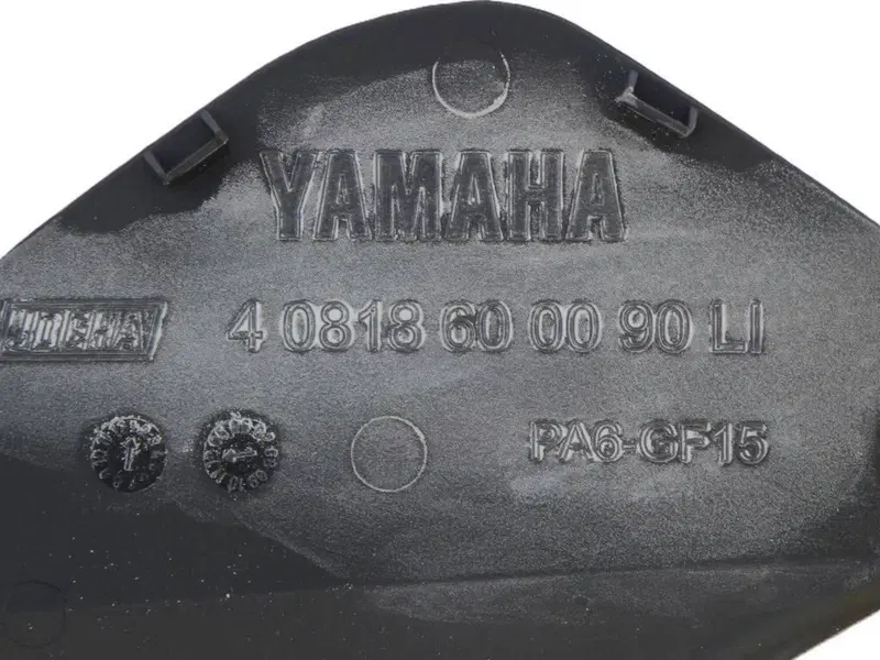 Abbellimenti motore/cambio dx e sx Yamaha FJR1300 (6)