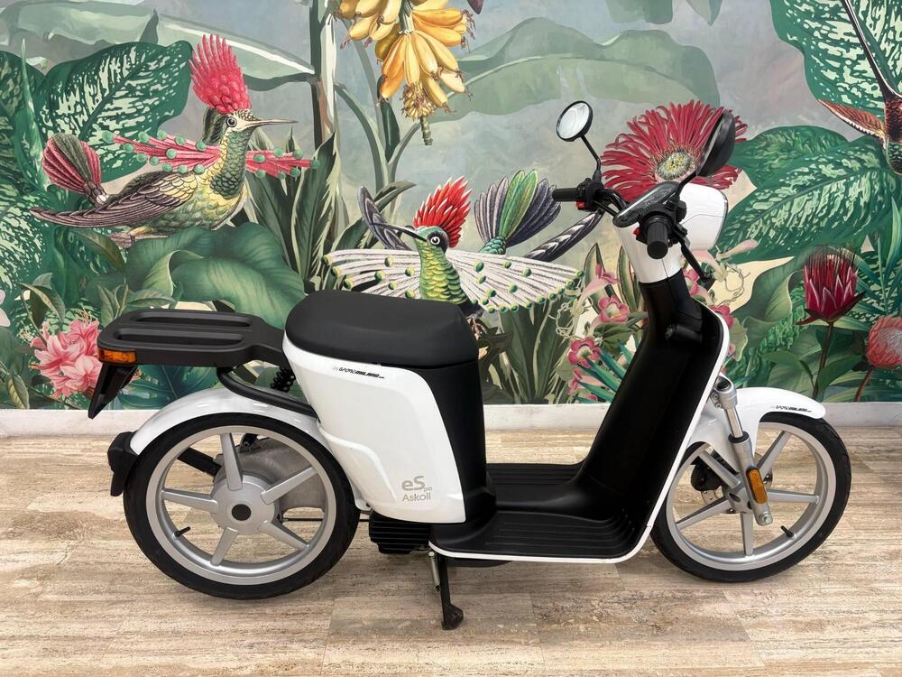 Askoll eS Pro 45 (2019 - 22)