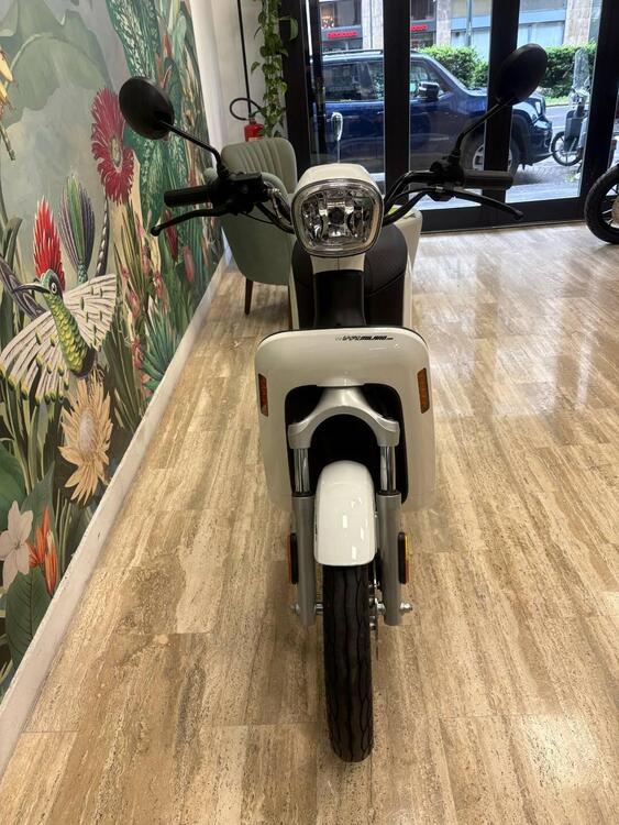 Askoll eS Pro 45 (2019 - 22) (4)