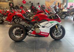 Ducati Panigale V4 S 1100 (2018 - 19) usata