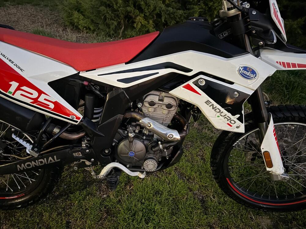 FB Mondial SMX 125 Enduro (2020 - 24) (5)